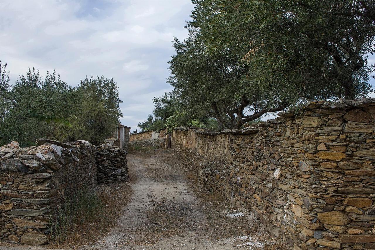 Casa Rural Julio Vegas Santiago Del Campo Екстериор снимка